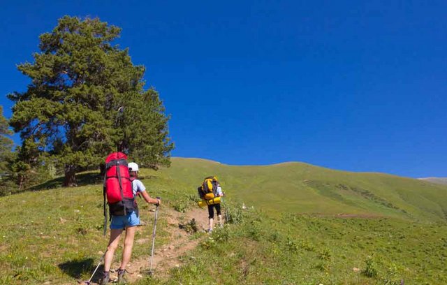 Wandern hilft 50plus, Gelenkkrankheiten vorzubeugen.