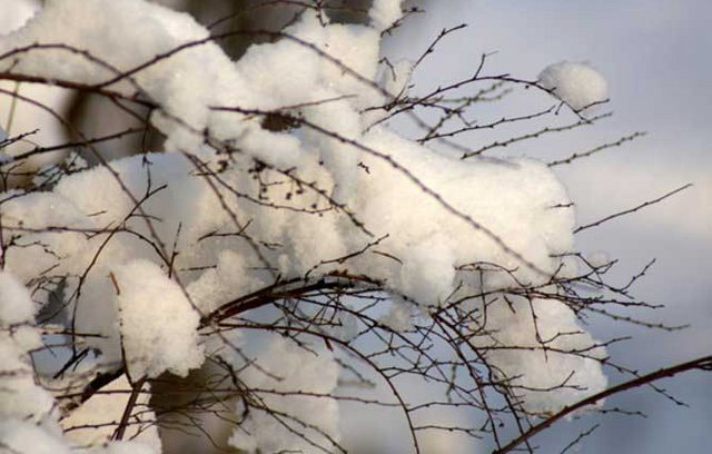 Garten: Väterchen Frost schaut vorbei