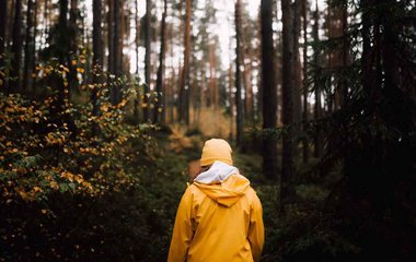 Weshalb Spaziergänge wichtig für die Psyche sind Weshalb Spaziergänge wichtig für die Psyche sind
