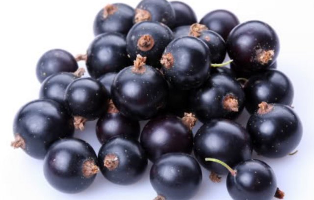 Die Vorteile & Wirkungen der Acai Beeren Frucht