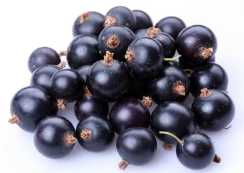 Die Vorteile & Wirkungen der Acai Beeren Frucht