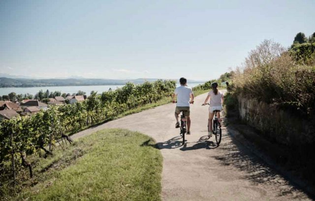 Velorundreise rund um den Murtensee