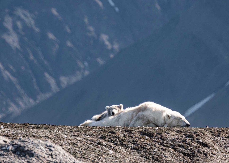 Spitzbergen