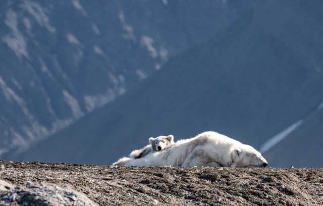 Spitzbergen