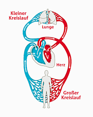 Grafik Hirslanden Grafik Hirslanden