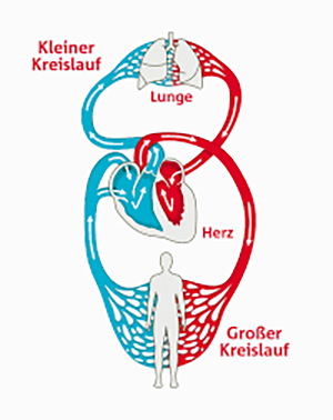 Grafik Hirslanden