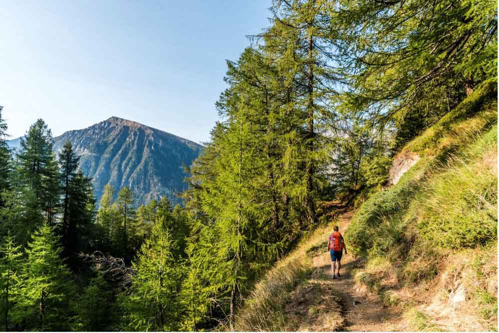 Die Blumenpracht der «Alpe Veglia»