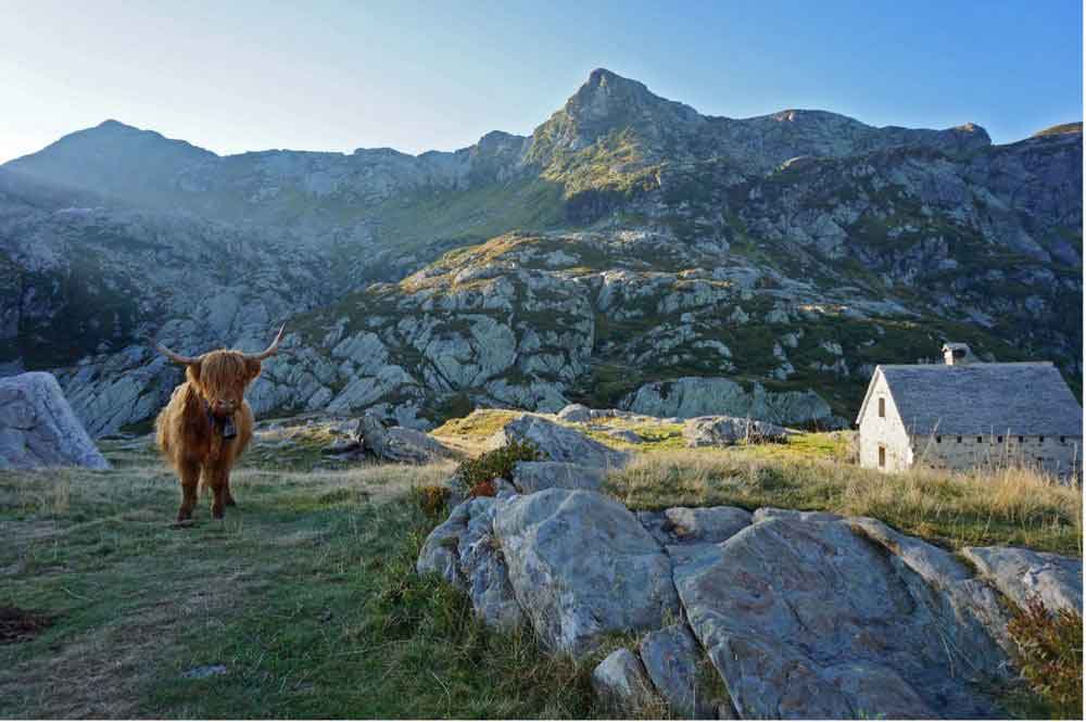 Eine Reise durch Raum und Zeit im mittelalterlichen Vogogna