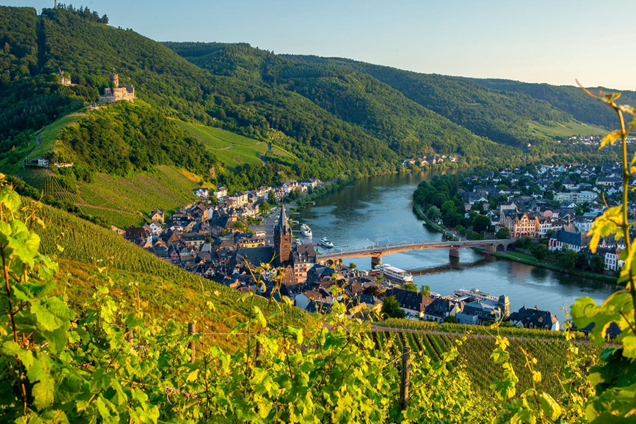 Moseltal | © Thurgau Travel