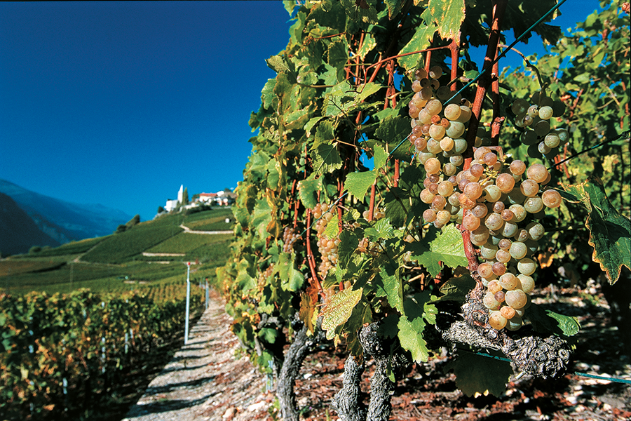 Blick Richtung Varen auf der Genussreise Wandern & Wein Wallis mit IMBACH.