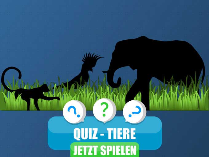 Quiz Tiere
